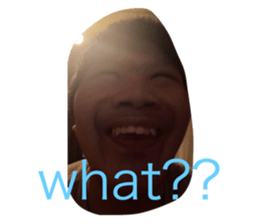 494028897