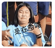 494033001