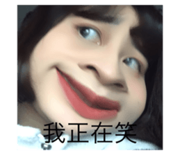 494033895
