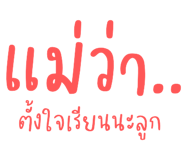 494041002