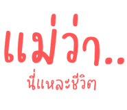 494041005