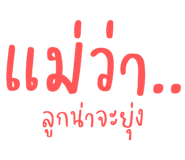 494041011