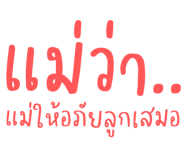 494041016