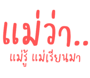 494041017