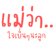 494041020