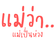 494041021