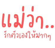 494041023