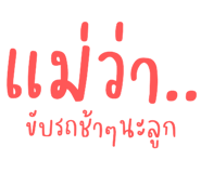 494041026
