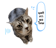 494048111