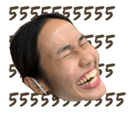 494053832