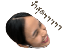 494053836