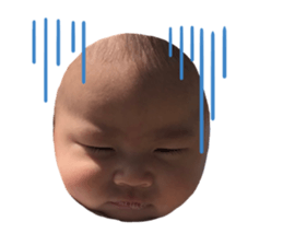 494056544