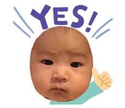 494056545