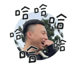 494057084