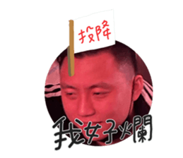494057095