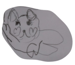 494066036