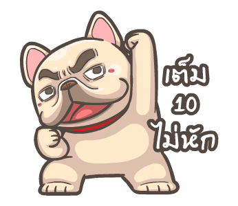 พิกุ - เฟรนช์ บูลด็อก 19 รูปที่ 5