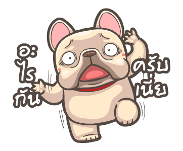 พิกุ - เฟรนช์ บูลด็อก 19 รูปที่ 13