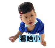 494081058