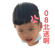 494081061