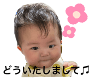 494082585