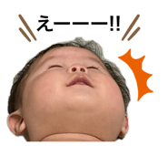 494082593