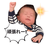 494082594