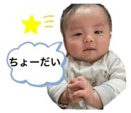 494082600