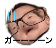 494082605