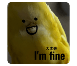 494082662