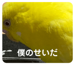 494082664