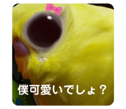 494082665