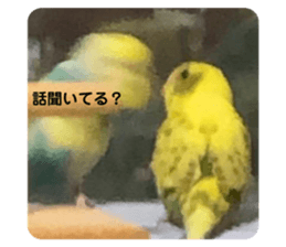 494082668