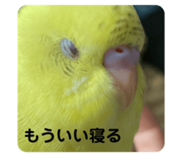 494082671
