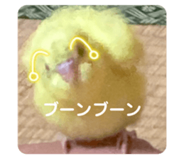 494082675