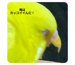 494082676