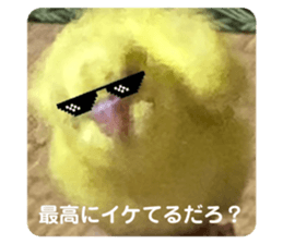 494082677