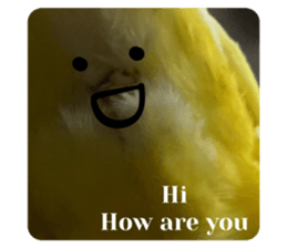 494082678