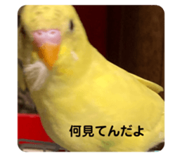 494082679