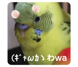 494082682