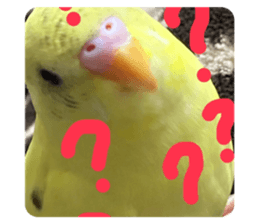 494082684