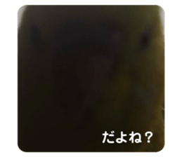 494082686
