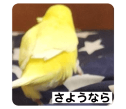 494082687