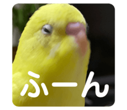 494082689