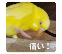 494082690