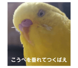 494082691