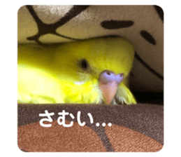 494082694