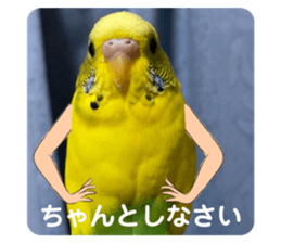 494082695