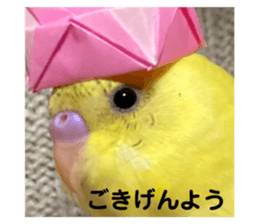 494082700