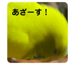 494082701